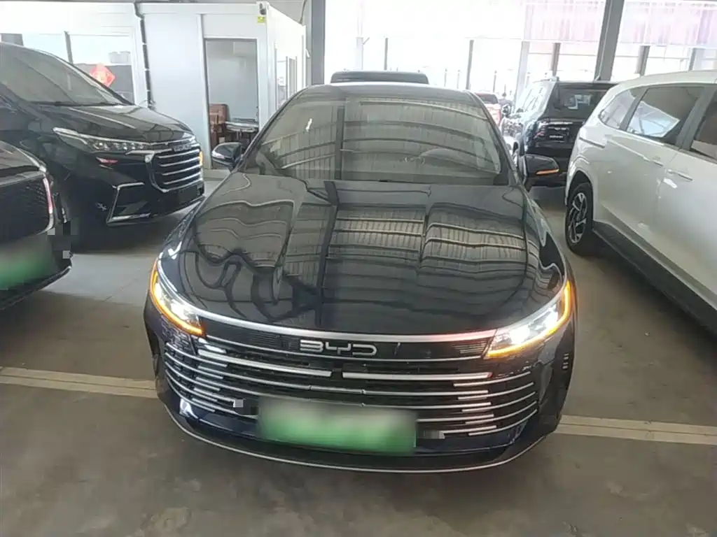 BYD Destroyer 05 2024 Glory Edition DM-i 55KM Luxury фото 3