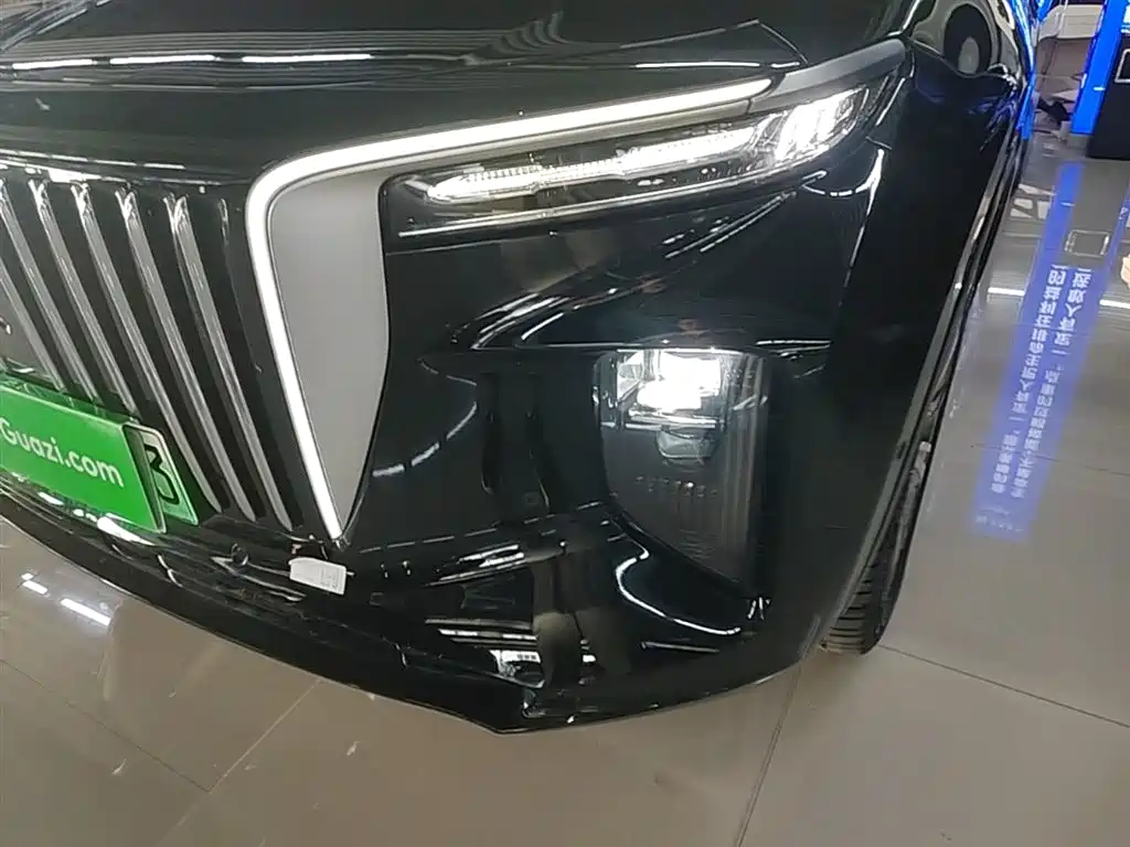 Hongqi E-HS9 2022 660km Qi Chang Edition (6-seater) фото 24