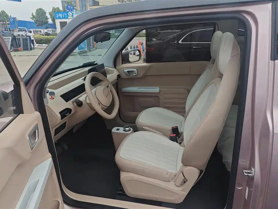 Geely Galaxy Panda 2023 Panda Mini 200km Lively Bear фото 11