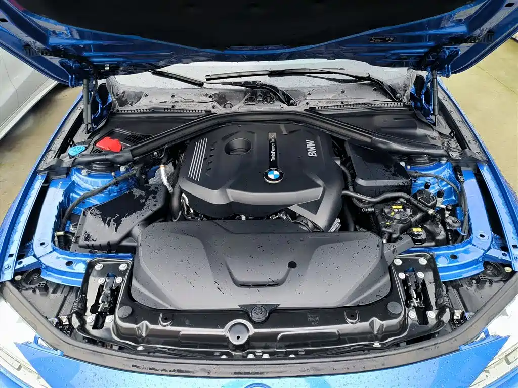 BMW 3 Series 2019 320Li M Sport Package фото 10