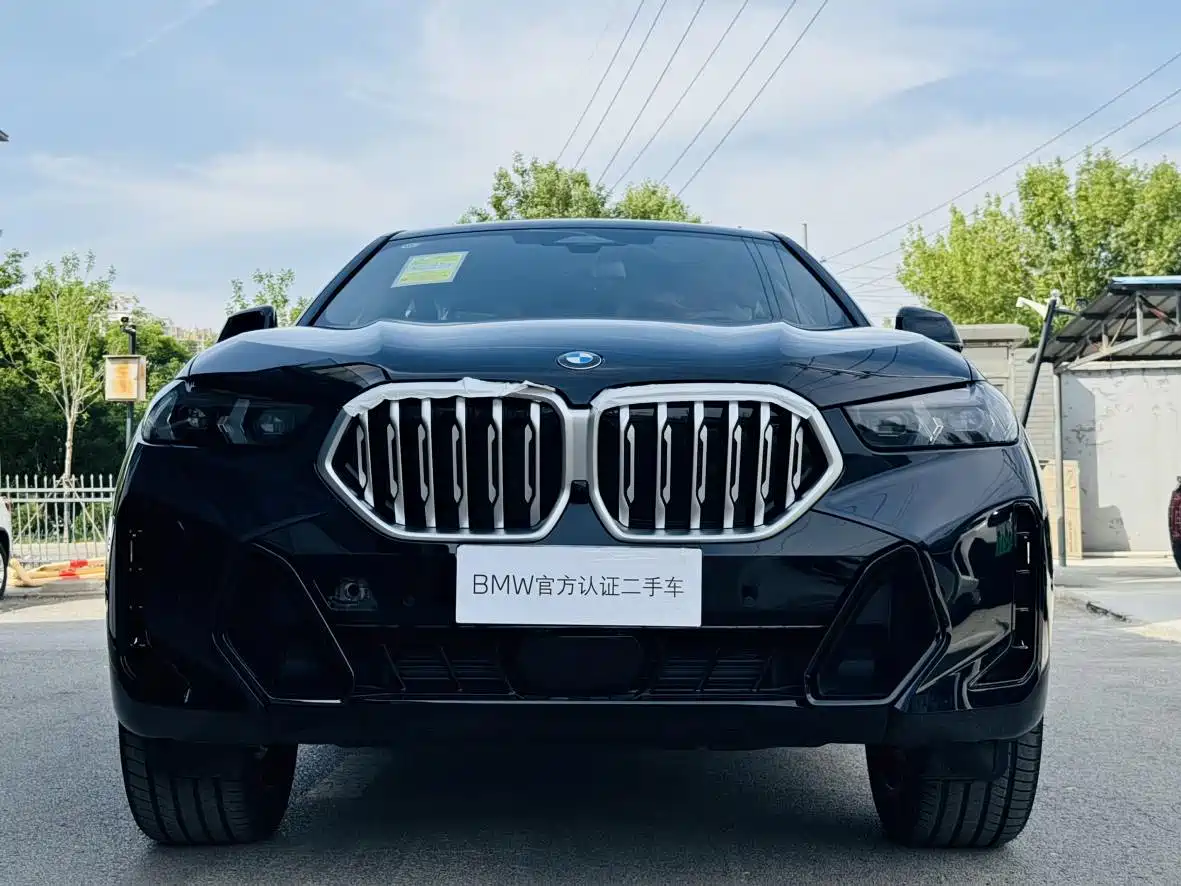 BMW X6 2023 xDrive30i M Sport Package фото 3
