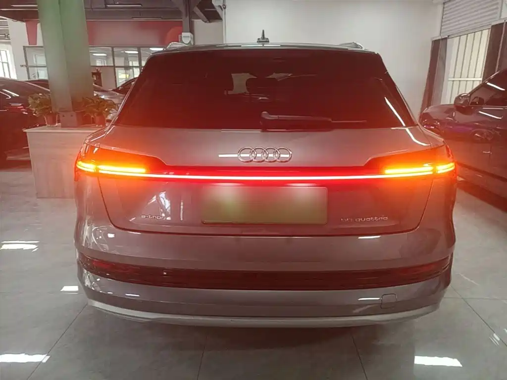 Audi e-tron (Import) 2019 55 quattro Technology фото 6