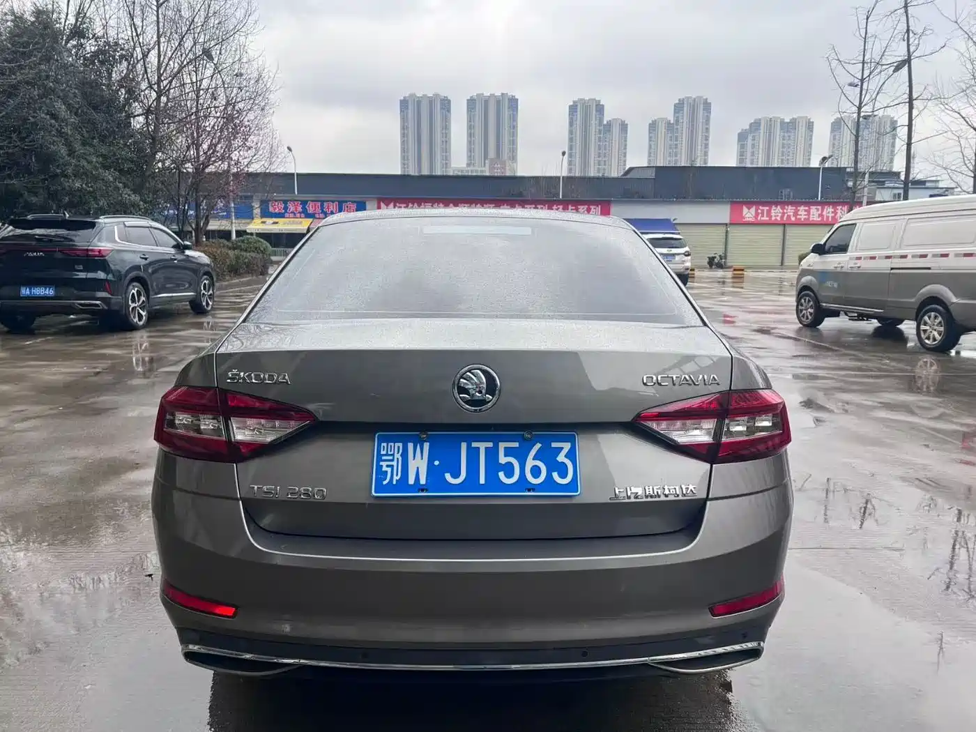 Škoda Octavia 2018 TSI280 DSG Luxury Edition фото 8