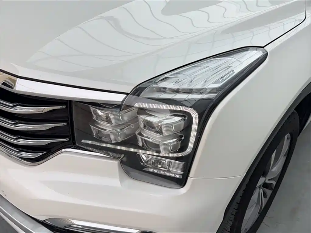 GAC Trumpchi Trumpchi GS8 2017 320T 2WD Luxury Smart Connect (7-seater) фото 23