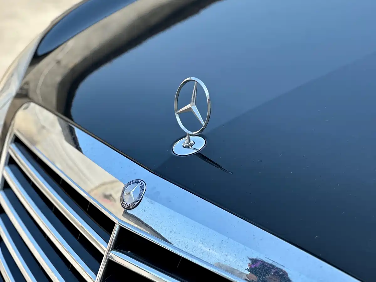 Mercedes-Benz S-Class 2010 S 350 L Luxury фото 19