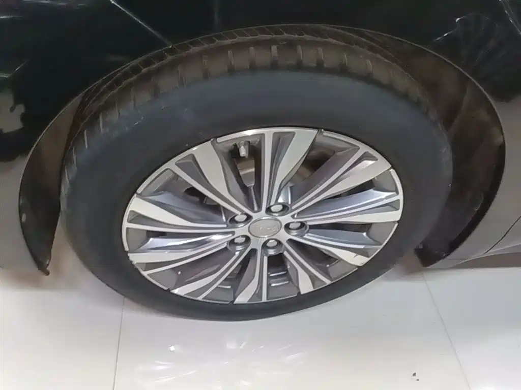 Hongqi E-QM5 2023 560km PLUS фото 23