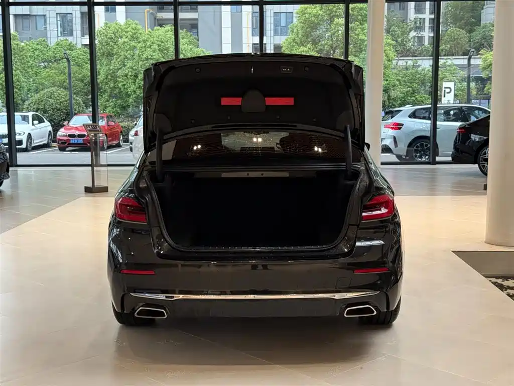 BMW 5 Series 2021 530Li Leading Luxury Package фото 3