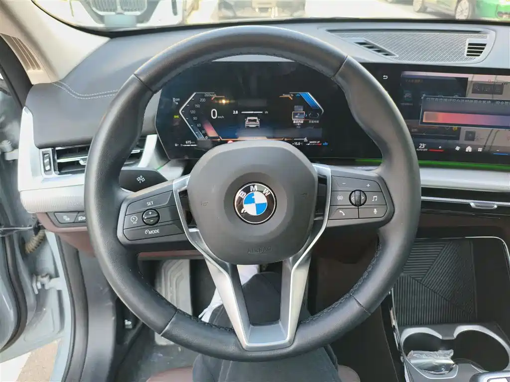 BMW X2 (Import) 2024 sDrive25i M Sport Package фото 5