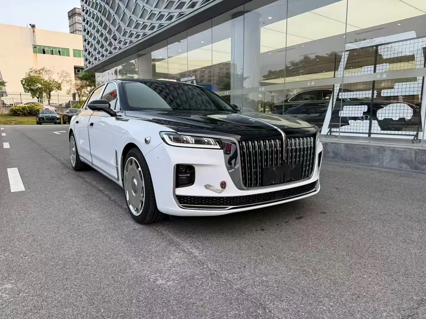 Hongqi H9 2020 Facelift 2.0T Smart Connect Flagship фото 3