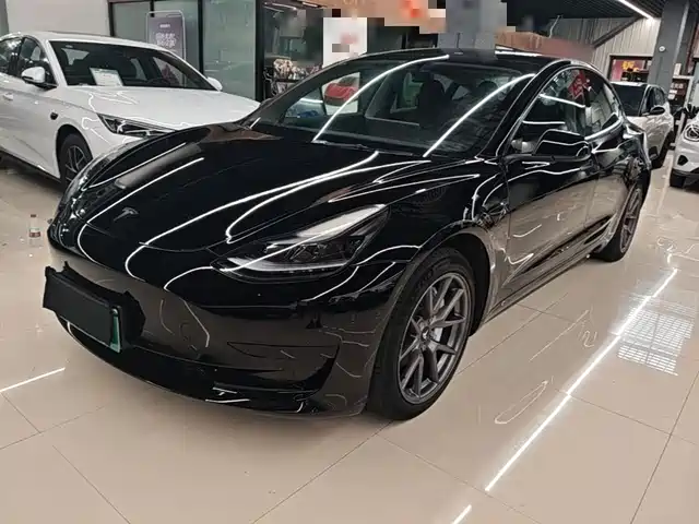 Tesla Model 3 2022 Model Rear-Wheel Drive Version