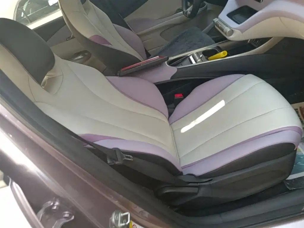 BYD Dolphin 2021 Model 405km Fashion Edition фото 24