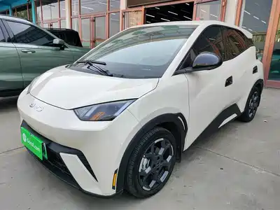 BYD Seagull