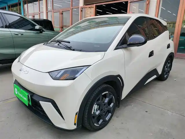 BYD Seagull 305km, Свобода
