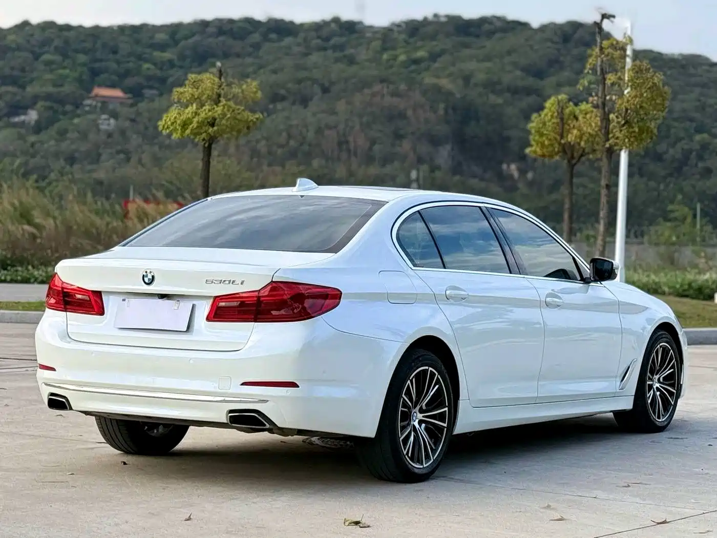 BMW 5 Series 2020 530Li Premium Luxury Package фото 6