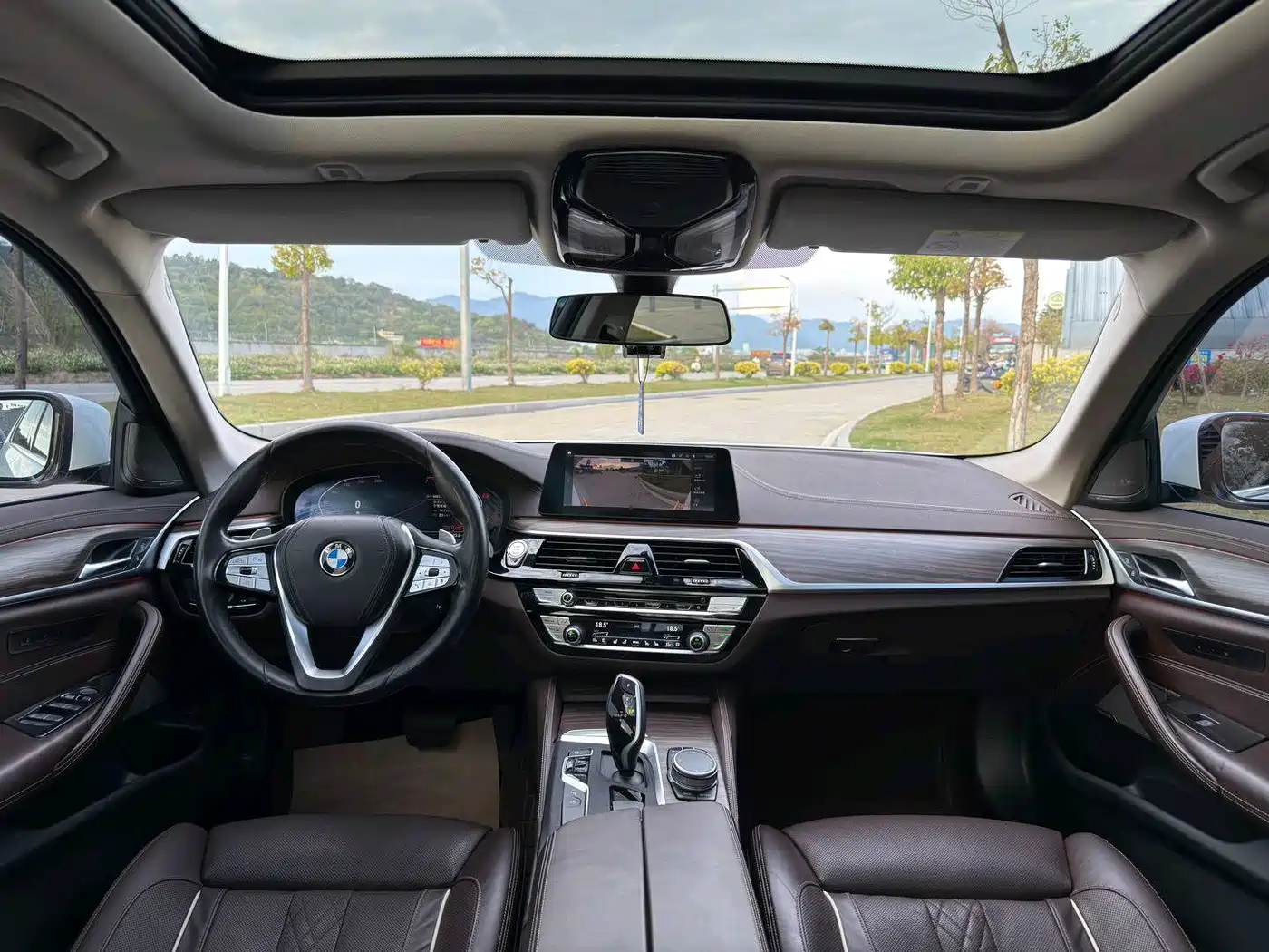 BMW 5 Series 2020 530Li Premium Luxury Package фото 20