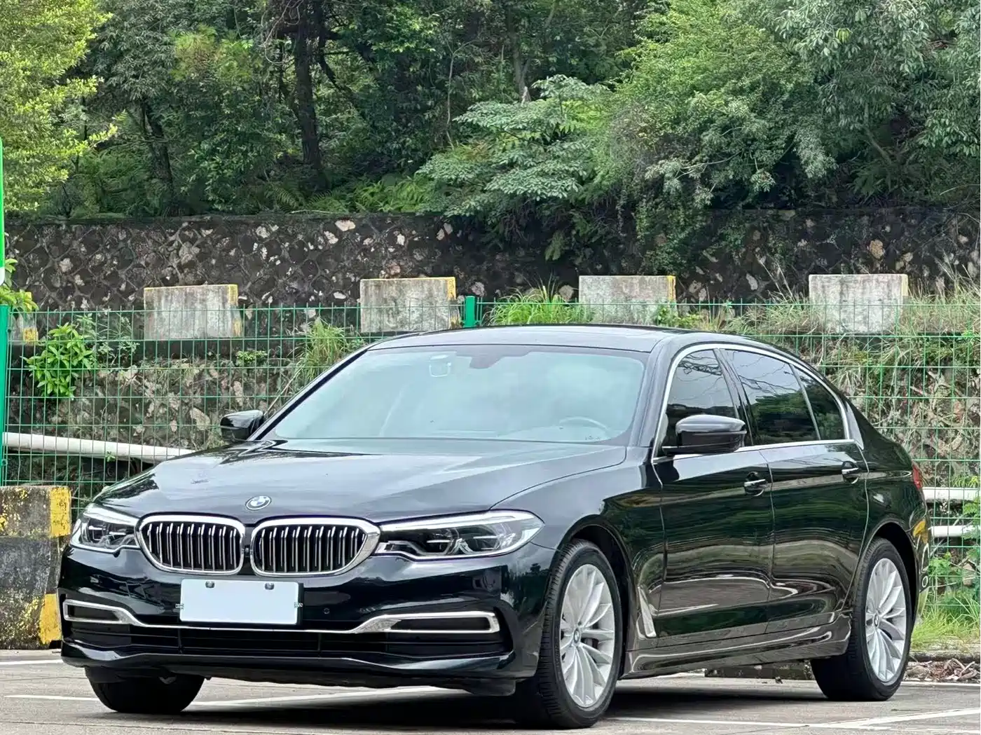 BMW 5 Series 2020 530Li Leading Luxury Package