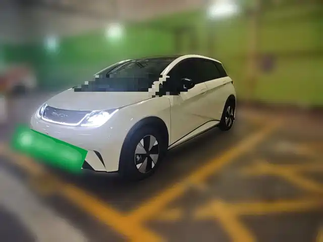 BYD Dolphin 420km, Стиль