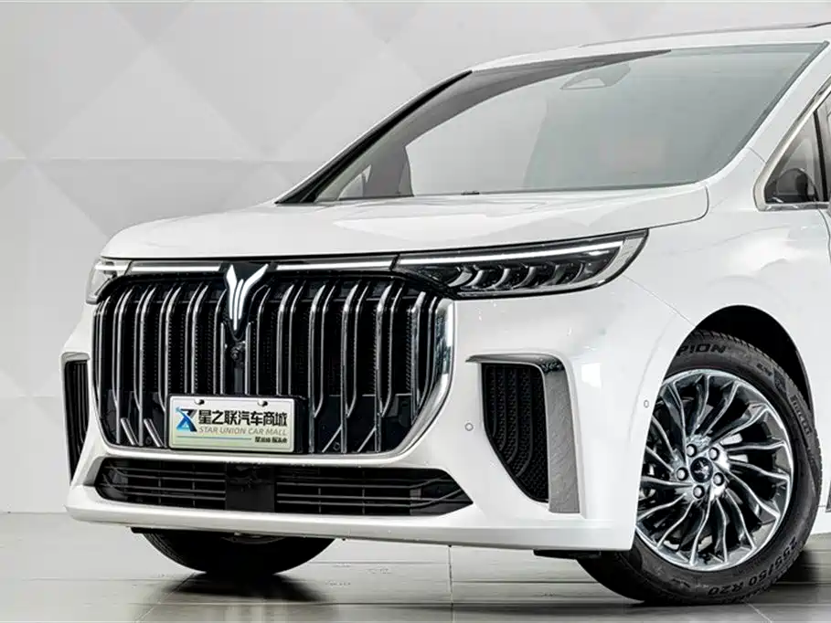 Voyah Auto Voyah Dreamer 2024 PHEV Extended Range Premium Edition фото 2
