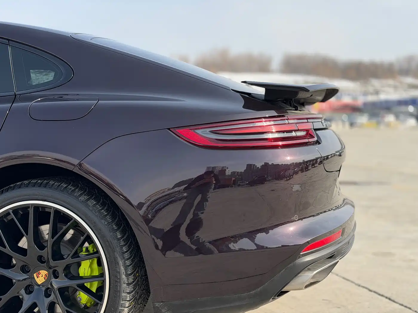 PORSCHE PANAMERA NEW ENERGY