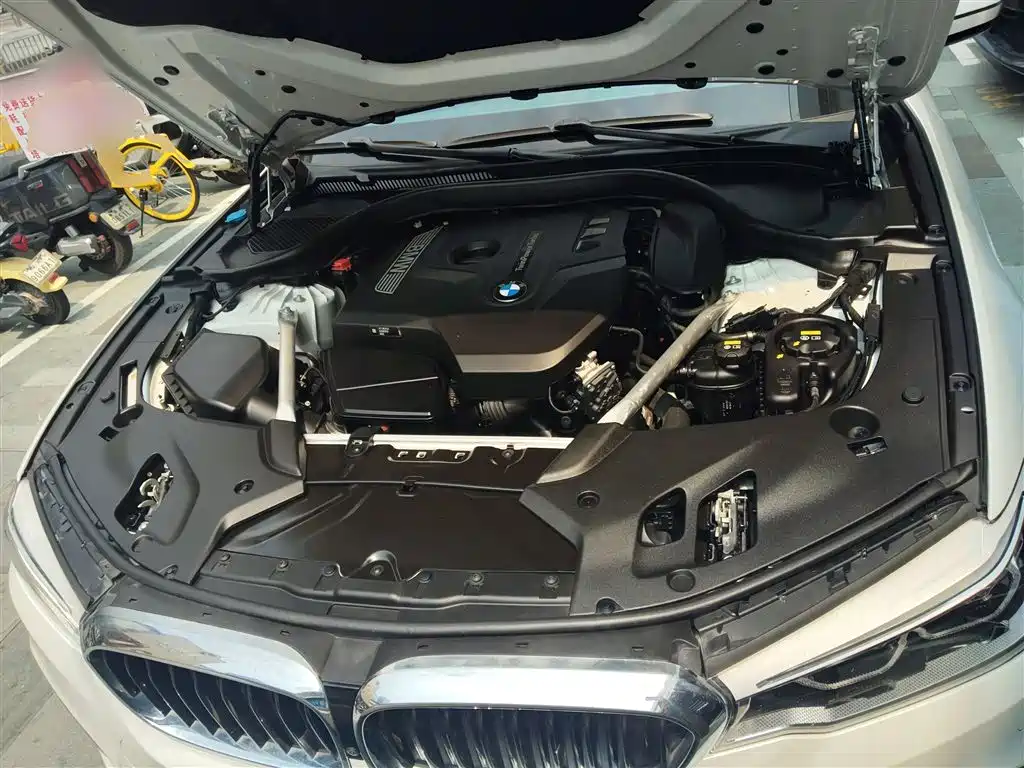 BMW 5 Series 2020 530Li Leading M Sport Package фото 20