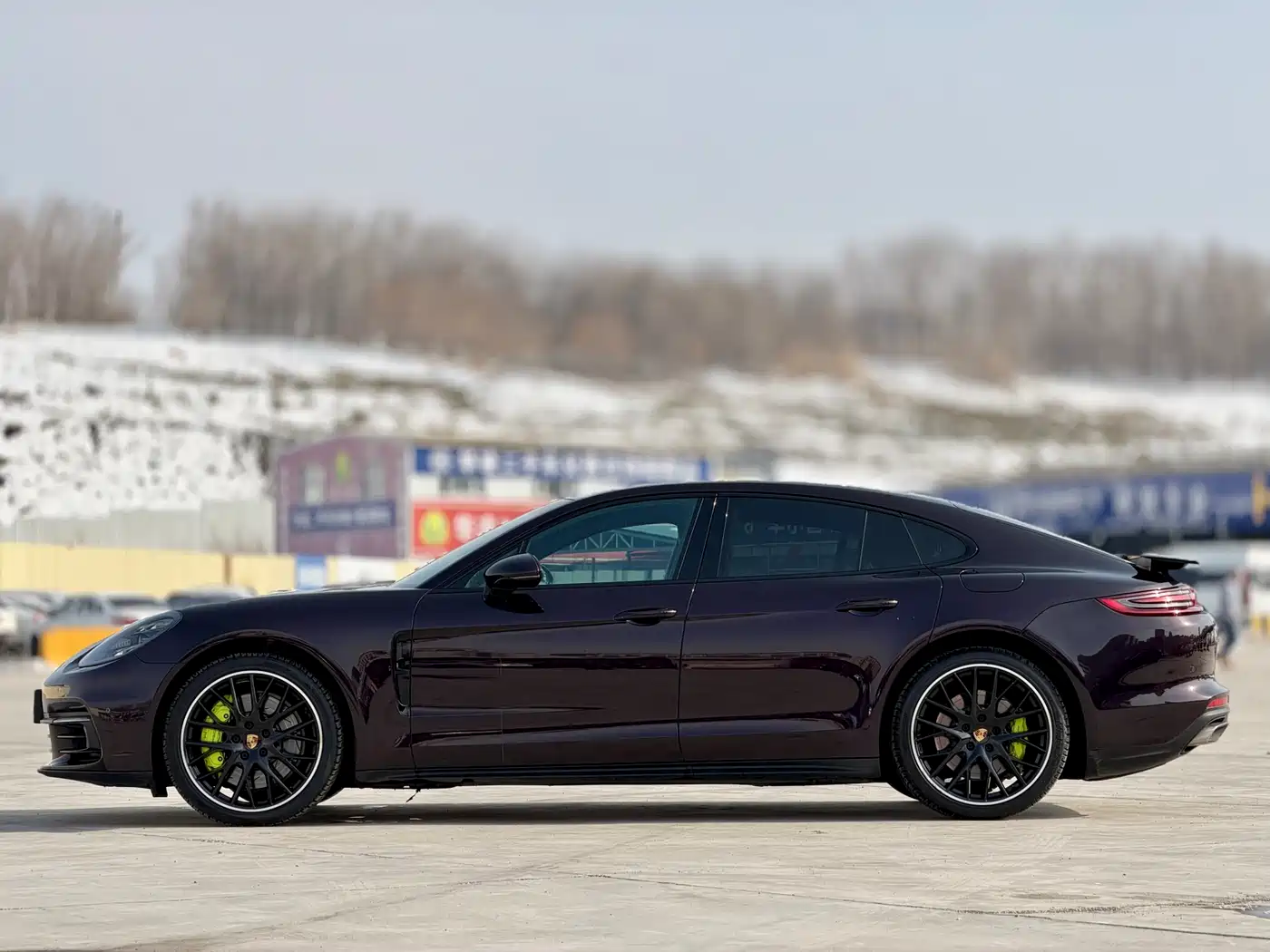 PORSCHE PANAMERA NEW ENERGY