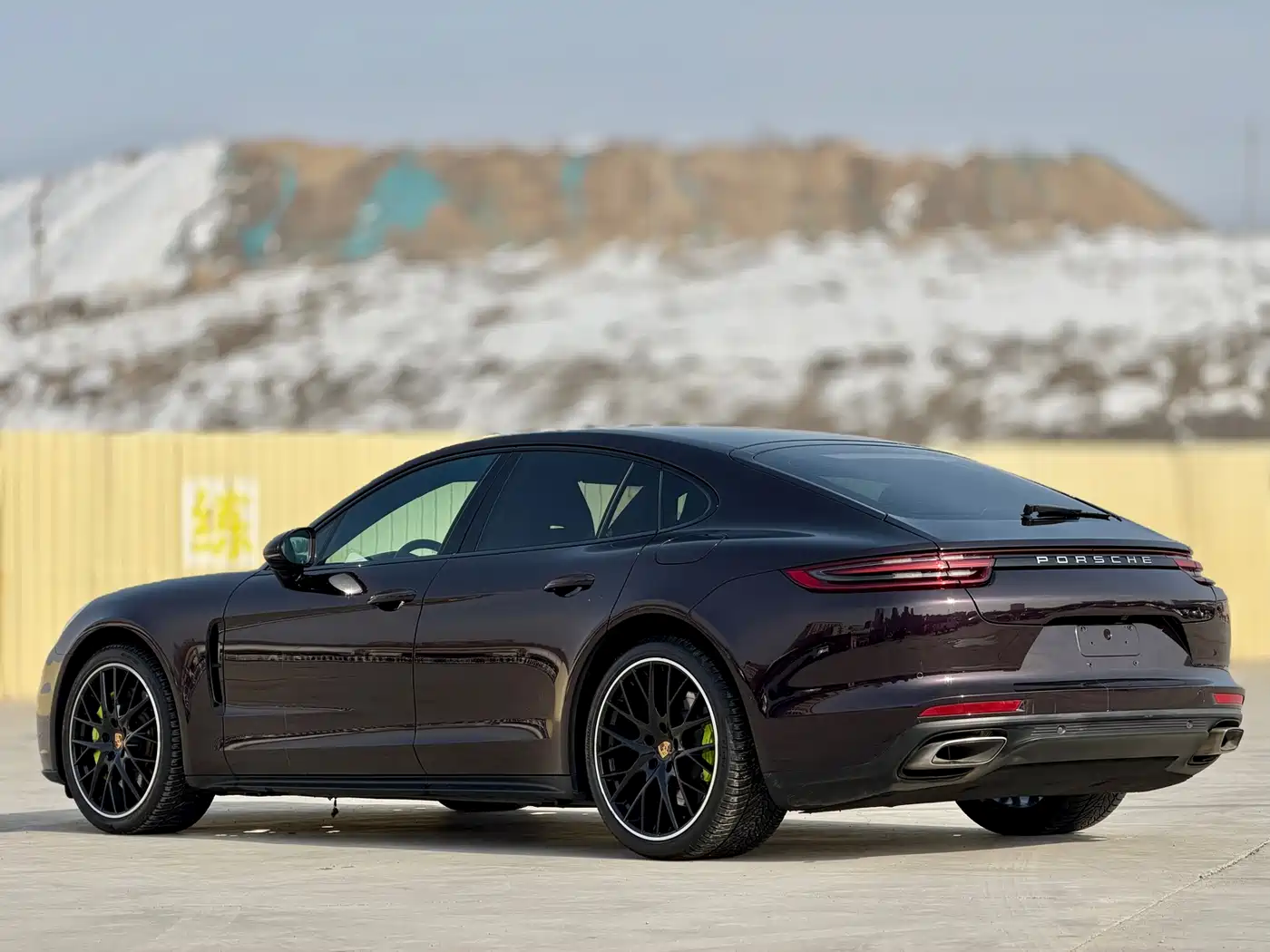 PORSCHE PANAMERA NEW ENERGY