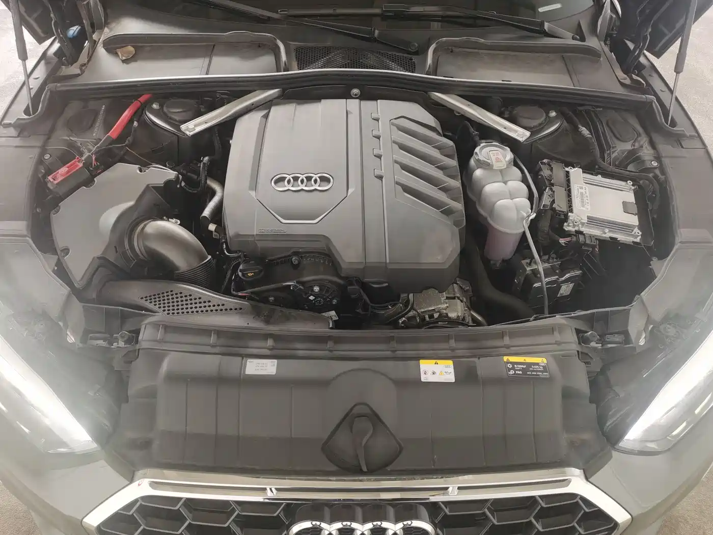 Audi A5 (Import) 2024 Sportback 40 TFSI Fashion Dynamic фото 4