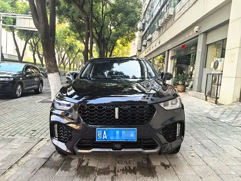 WEI PAI WEI BRAND VV5