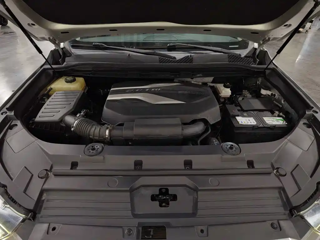 Фото 6 - SAIC Maxus D90