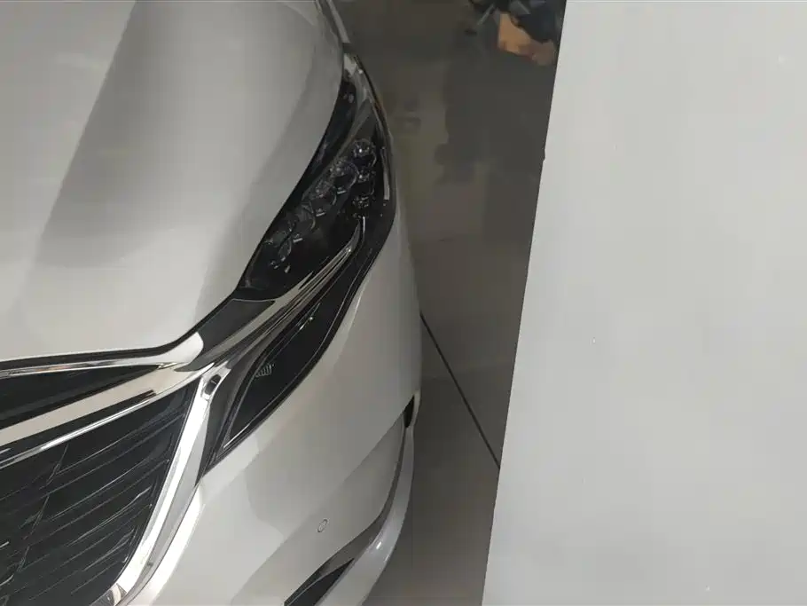 Buick GL8 2021 ES Landlord 653T Premium фото 5