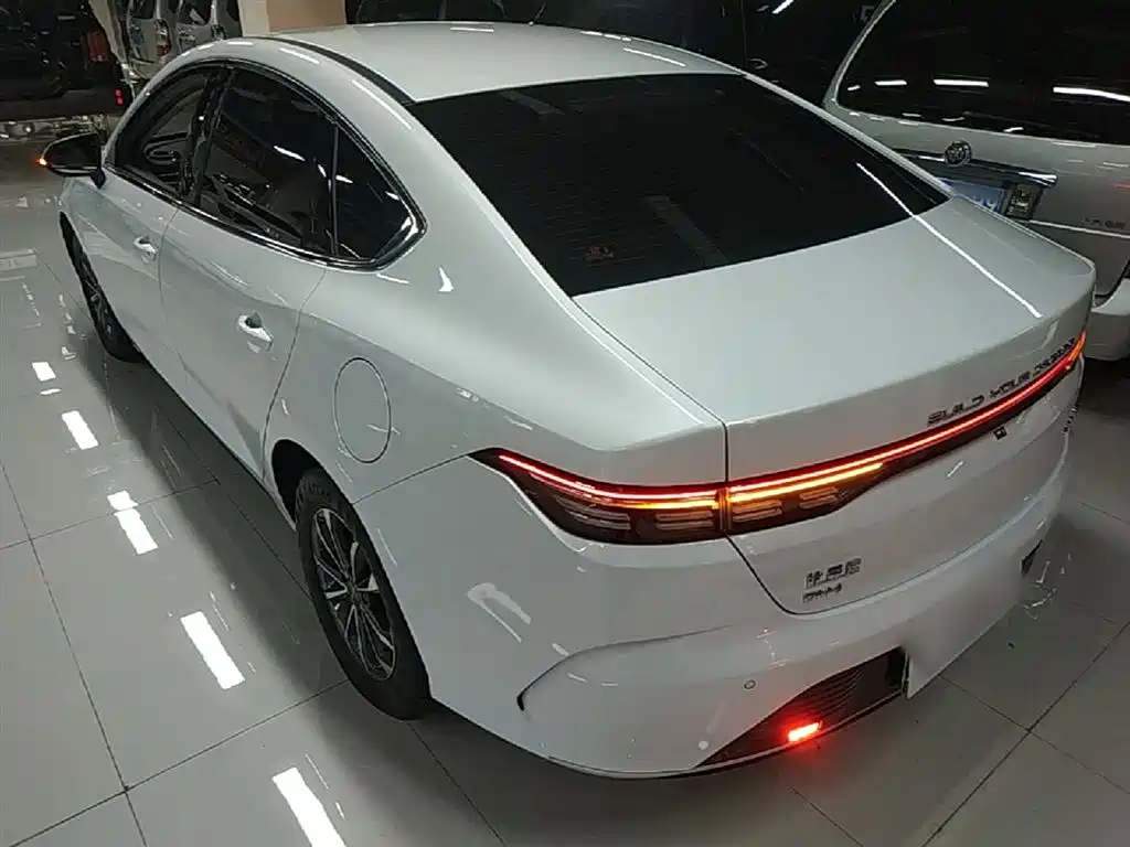 BYD Destroyer 05 2024 Glory Edition DM-i 55KM Luxury фото 5