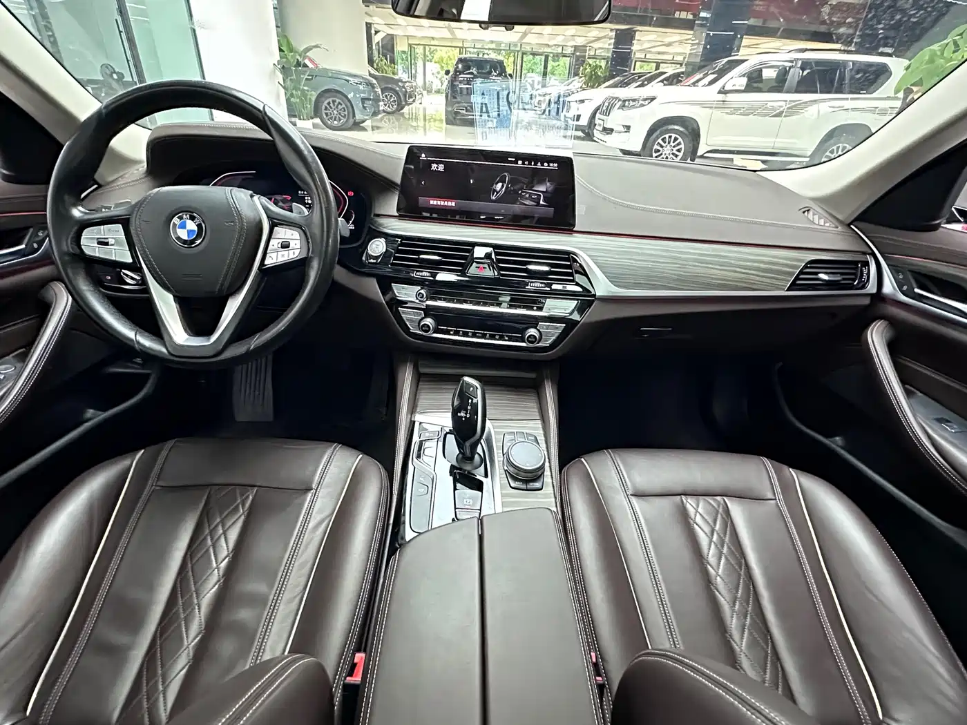 BMW 5 Series 2020 530Li Leading Luxury Package фото 8