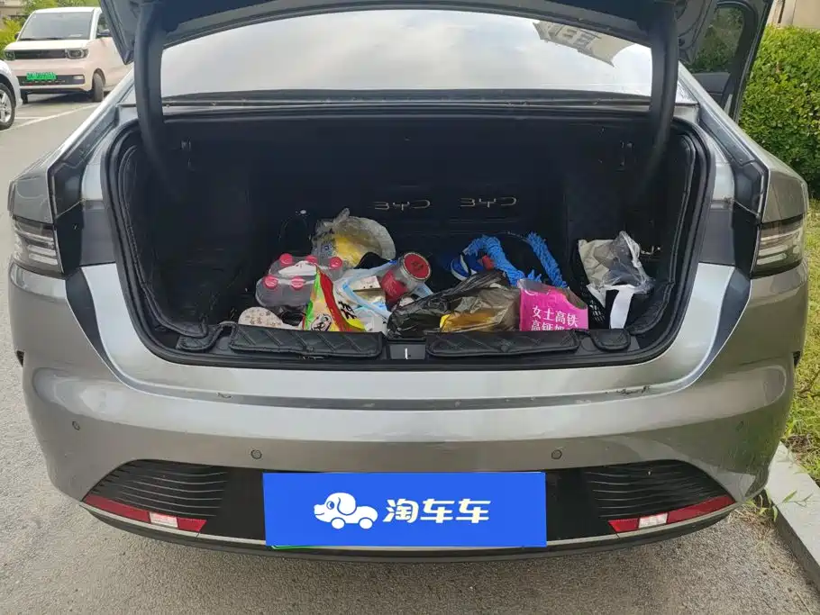 BYD Destroyer 05 2025 2024 Glory Edition DM-i 55KM Luxury