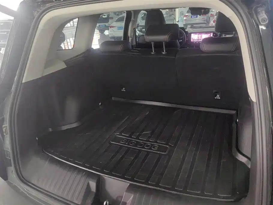 Haval Big Dog 2024 1.5T DCT Border Collie Edition фото 4