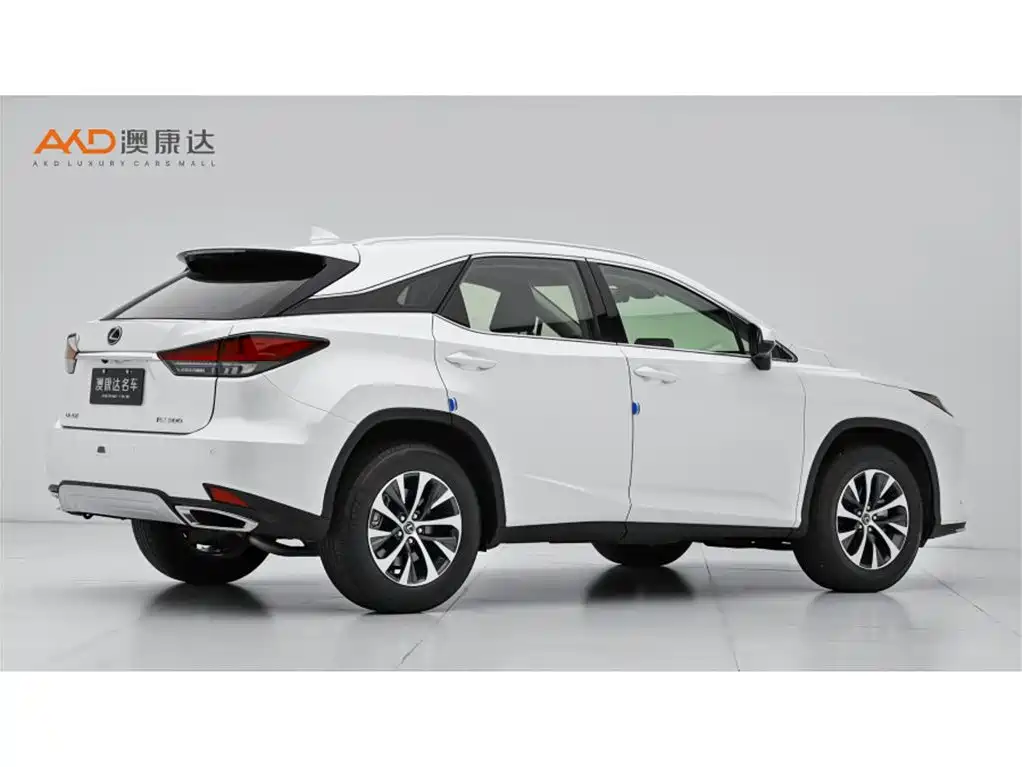 Lexus RX 2020 Facelift 300 2WD Comfort Edition фото 3