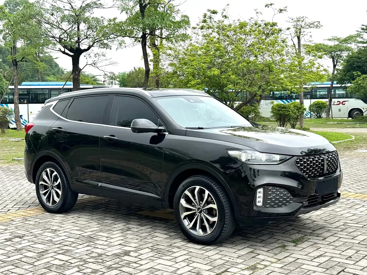 Фото 3 - WEY VV6