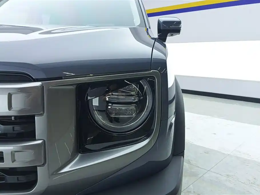 Haval Big Dog 2024 1.5T DCT Border Collie Edition фото 5