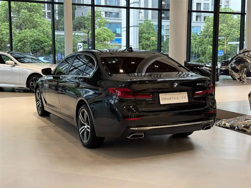 BMW 5 Series 2021 530Li Leading Luxury Package фото 10
