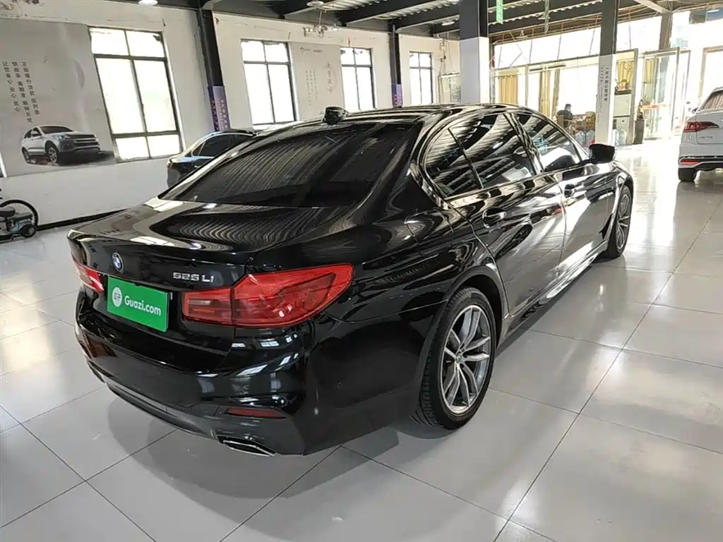BMW 5 Series 2019 Facelift 525Li M Sport Package фото 7