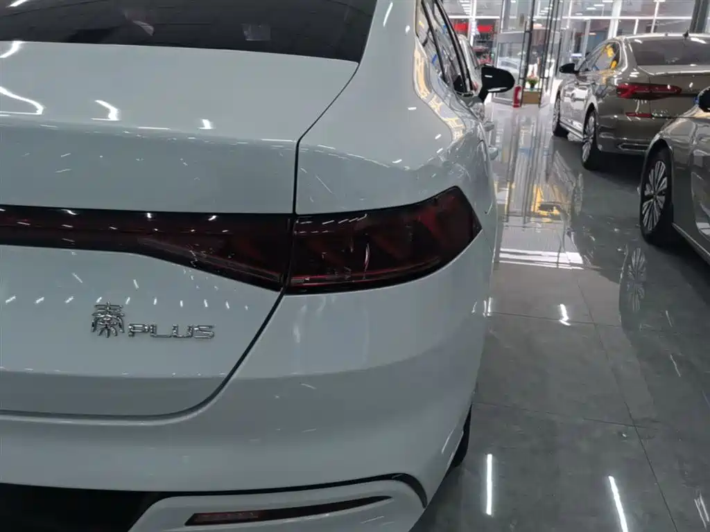 BYD Qin PLUS 2023 Champion Edition DM-i 55KM Leading фото 8