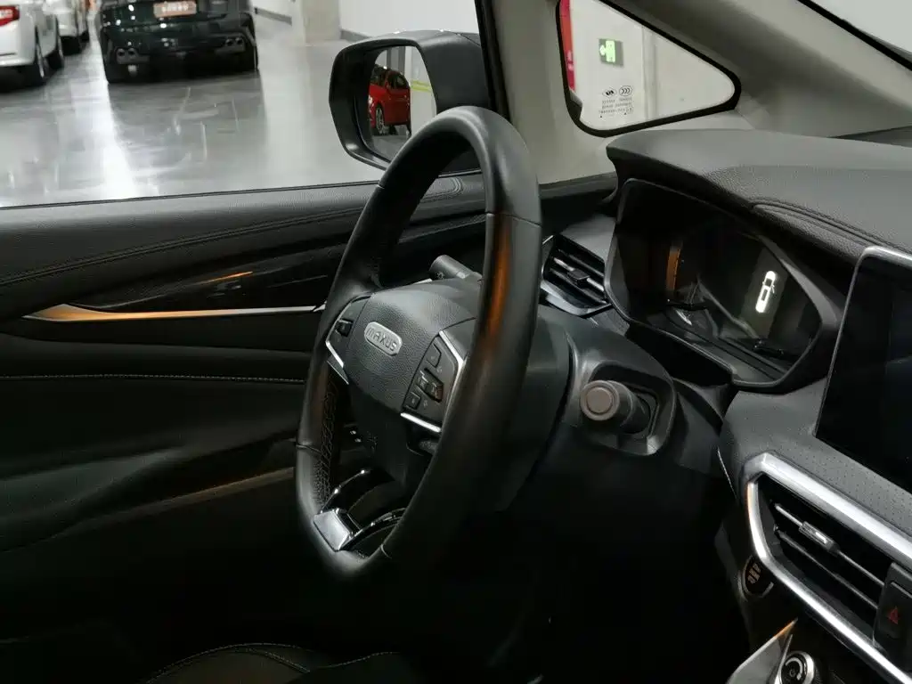 Фото 22 - Maxus Maxus G50