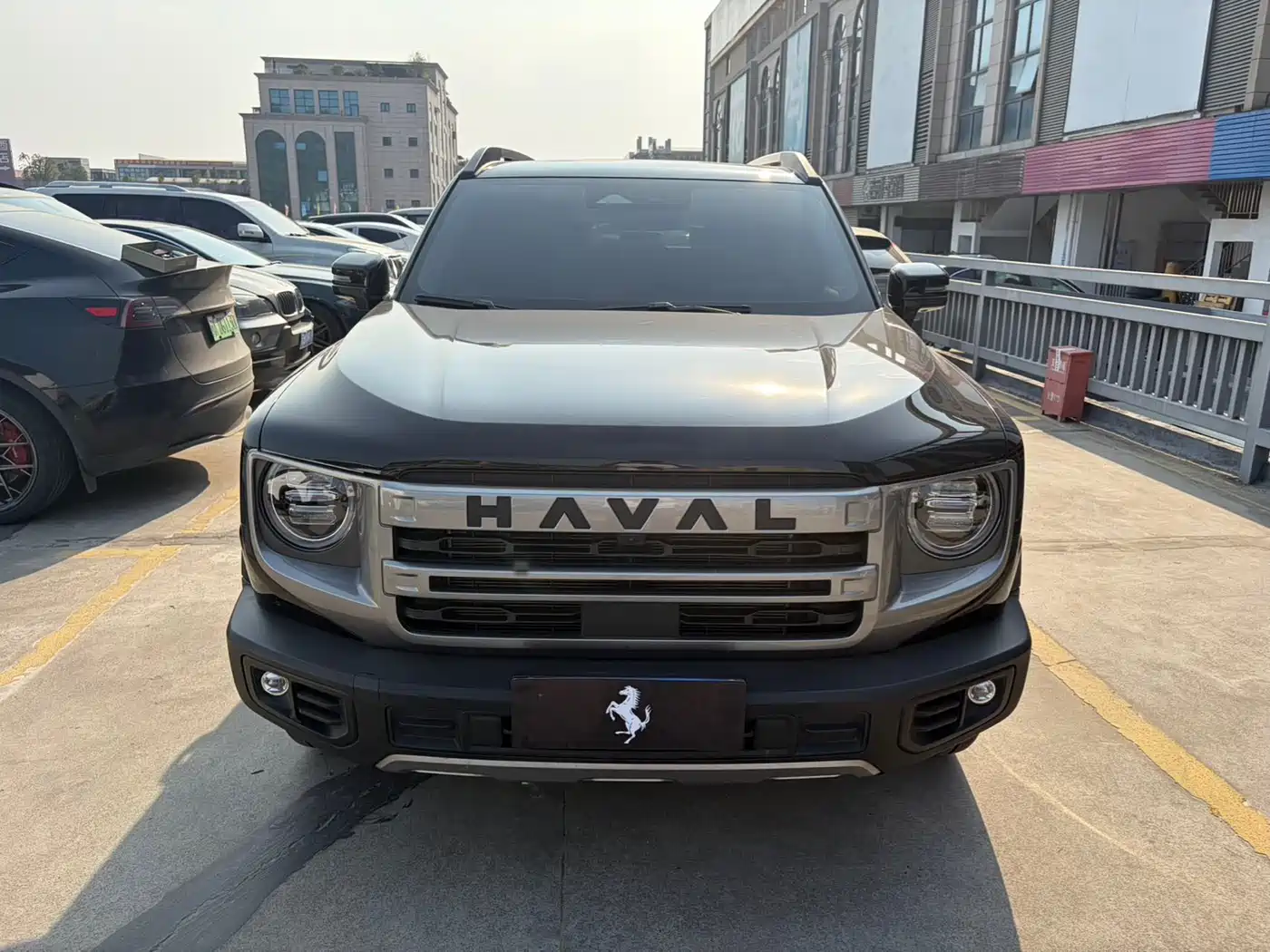 HAVAL BIG DOG