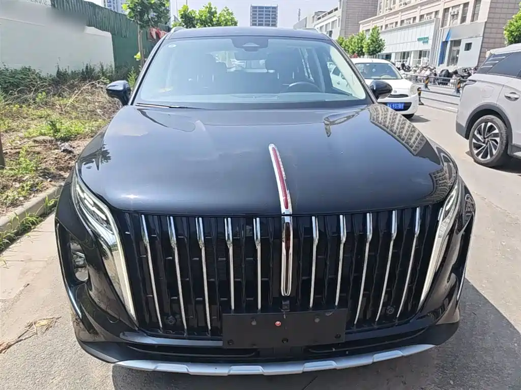 Hongqi HS7 PHEV 2024 2.0T PHEV 4WD Flagship Edition 6-seater фото 3