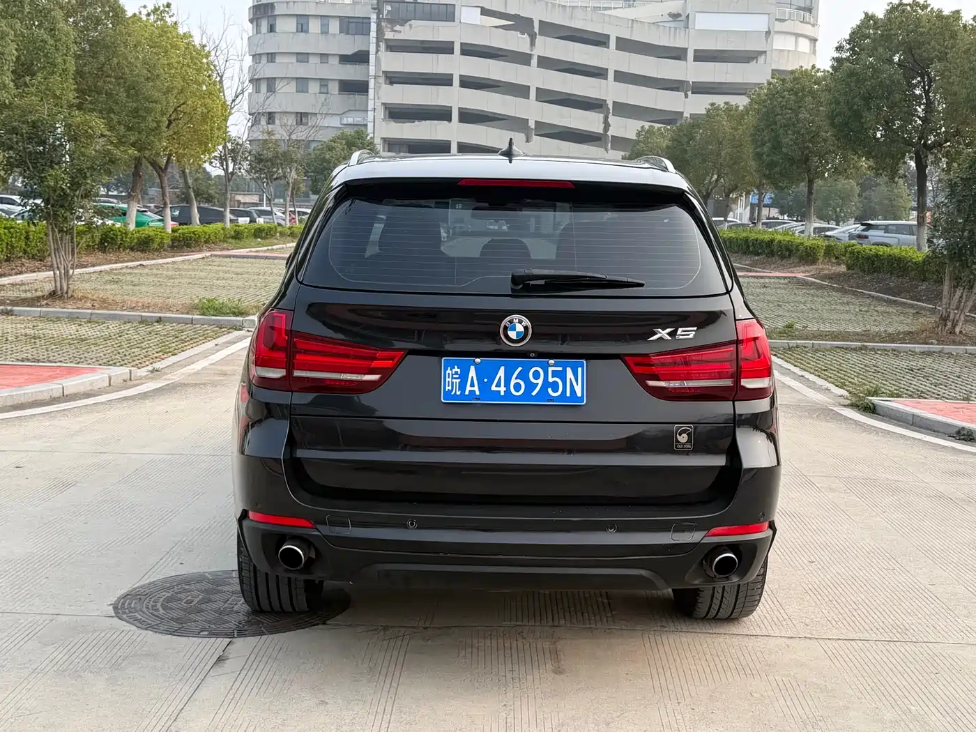 BMW X5 (Import) 2014 xDrive35i Leading фото 8