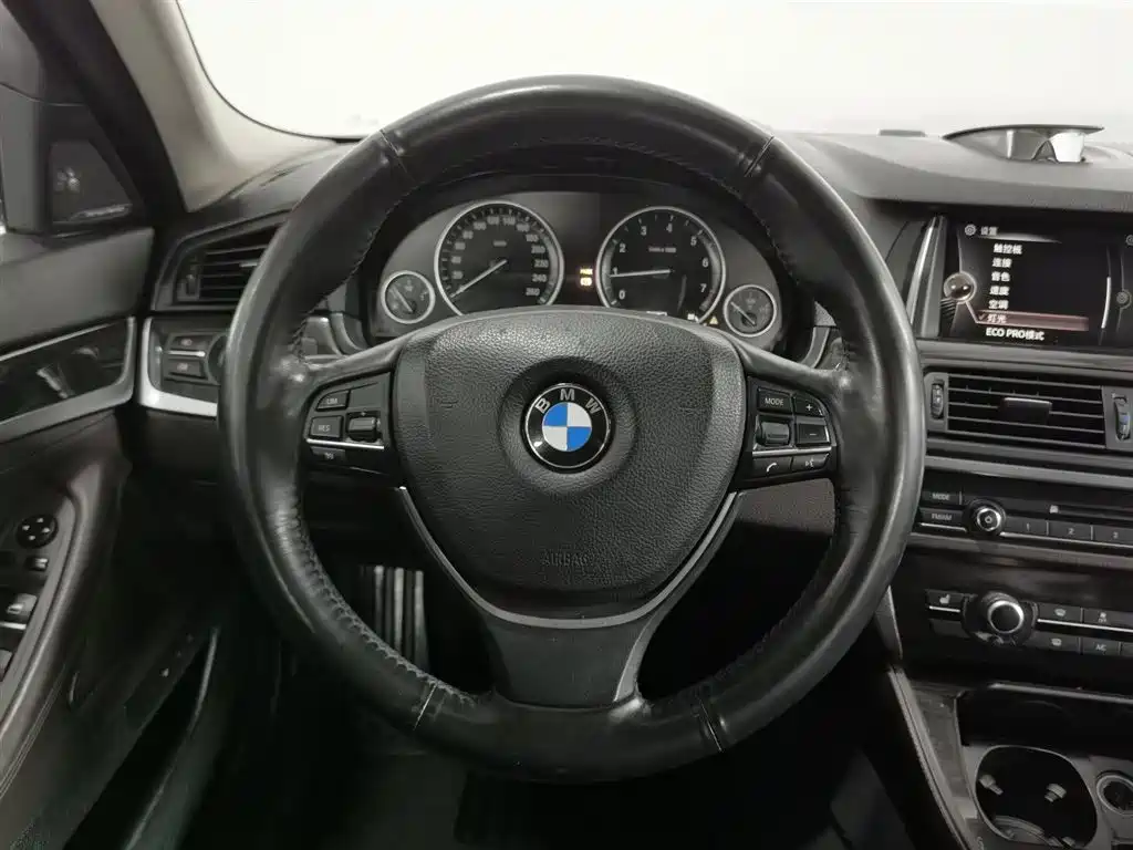 BMW 5 Series 2014 525Li Luxury Design Package фото 11