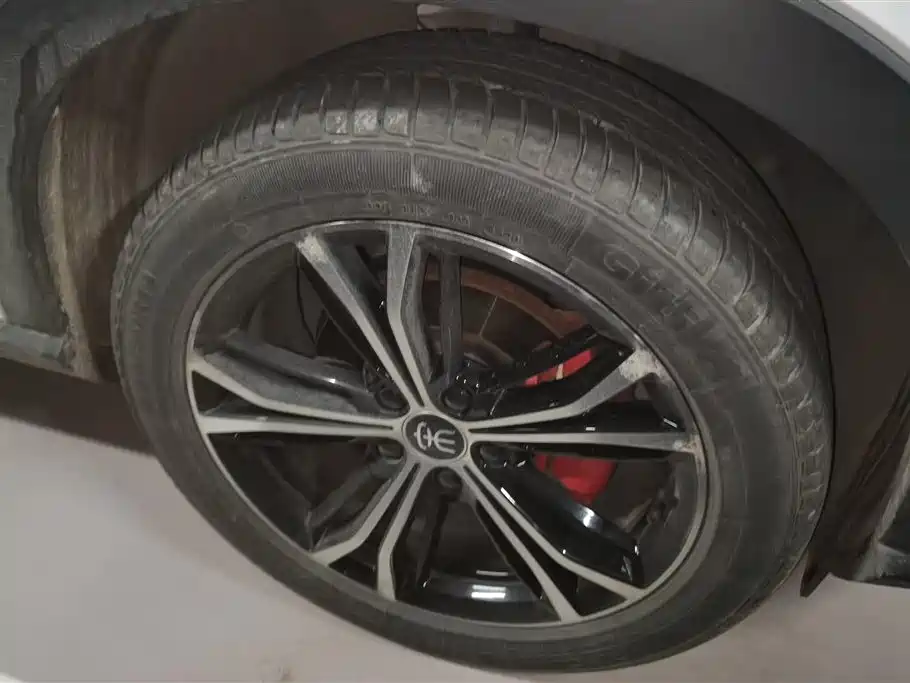 BYD Song PLUS 2020 1.5T Automatic Premium фото 6