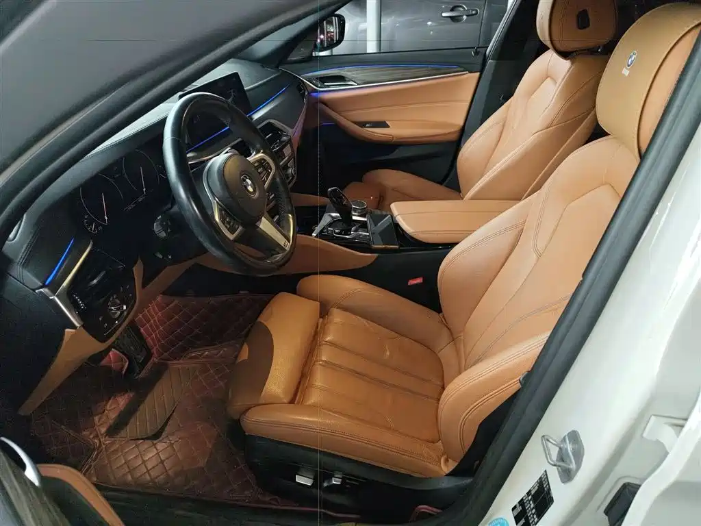 BMW 5 Series (Import) 2019 530i M Sport Package фото 15