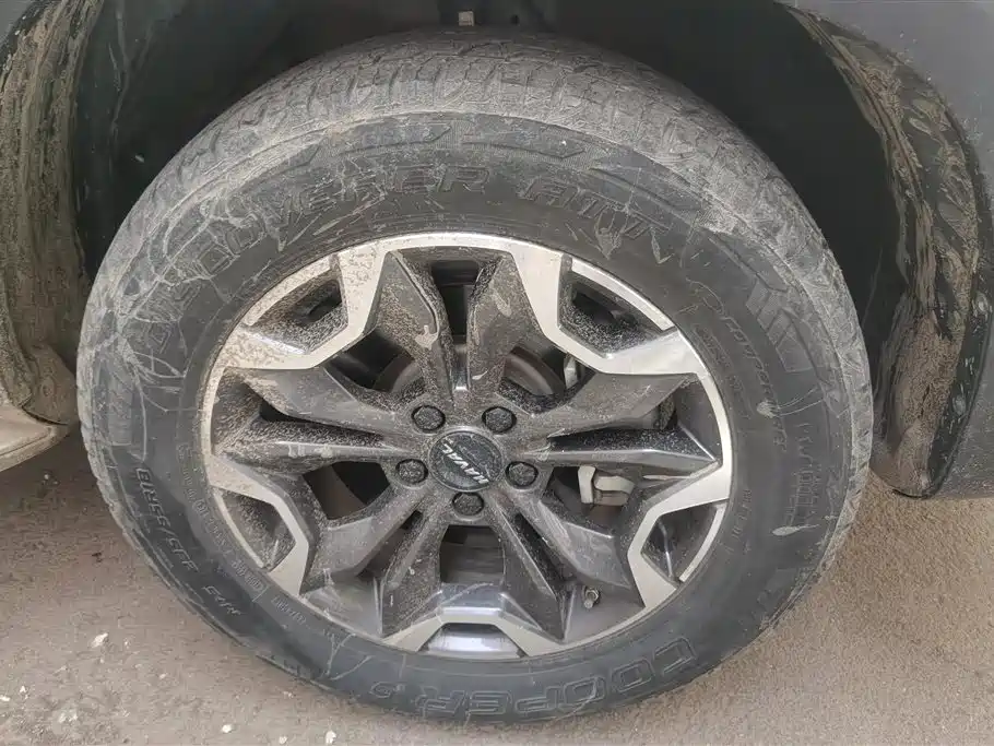 Haval Big Dog 2021 2.0T DCT AWD Howling Celestial Dog Edition фото 6