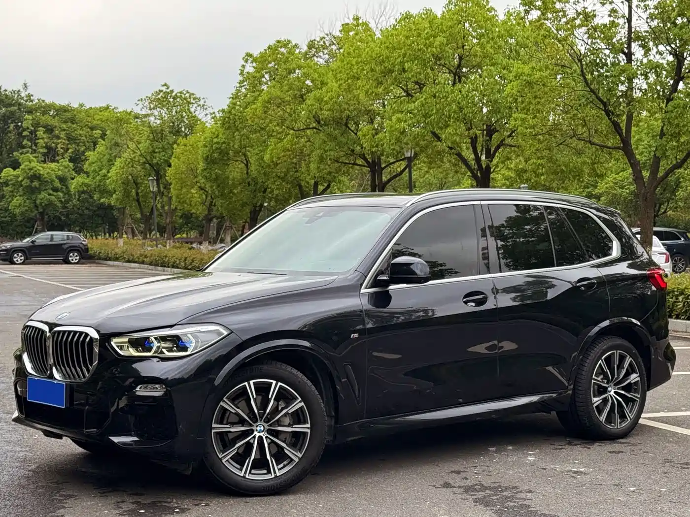 BMW X5 (Import) 2019 xDrive40i M Sport Package