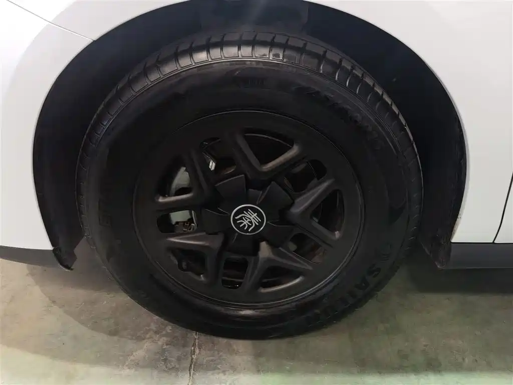 BYD Qin PLUS 2025 DM-i Smart Drive 55KM Leader фото 25